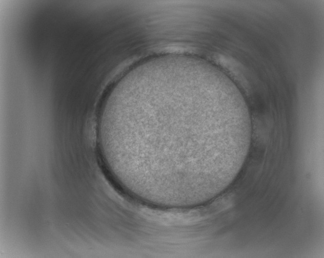 X0000068730016200605121530