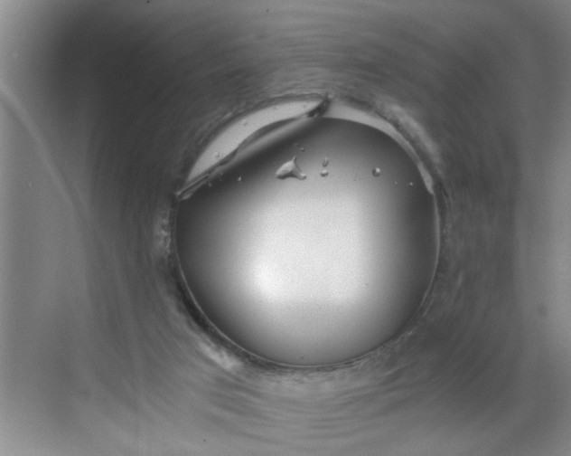 X0000068730017200605121530