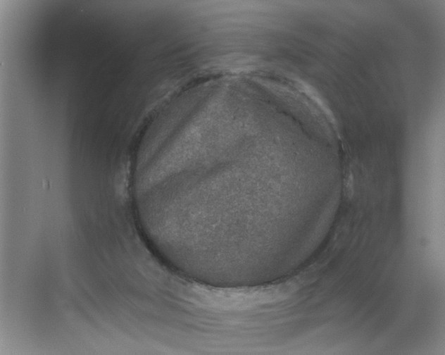 X0000068730018200605121530