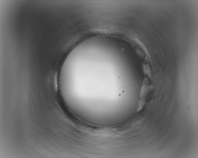 X0000068730020200605121530