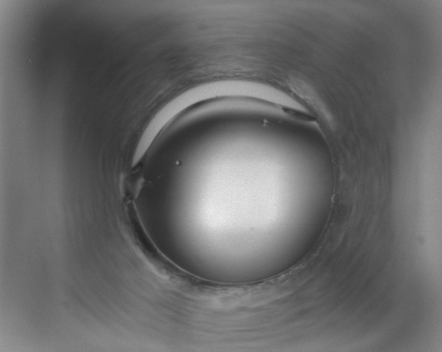 X0000068730021200605121530