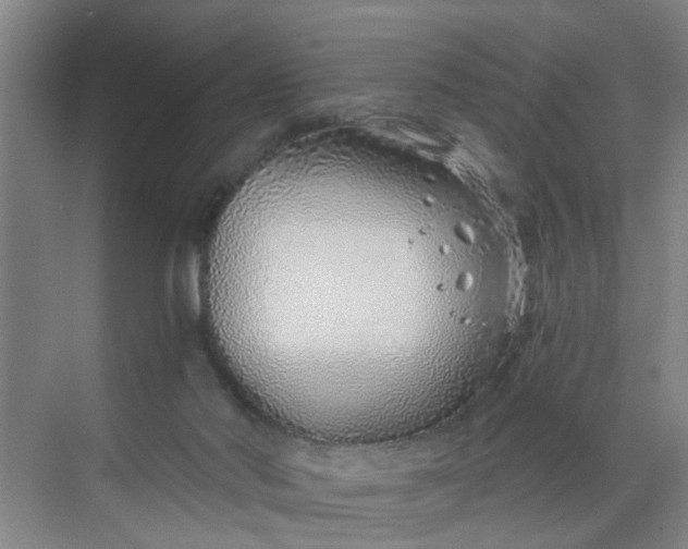 X0000068730022200605121530