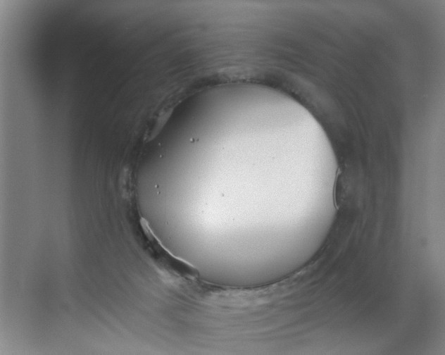 X0000068730025200605121530