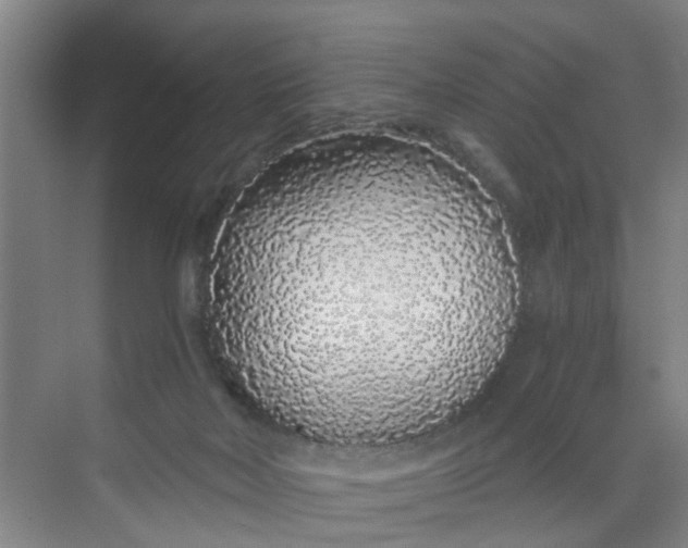 X0000068730026200605121530