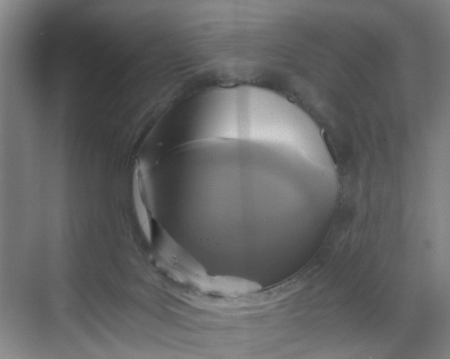 X0000068730027200605121530