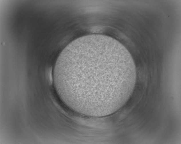 X0000068730028200605121529