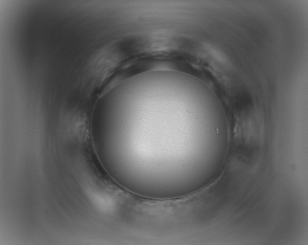 X0000068730029200605121529