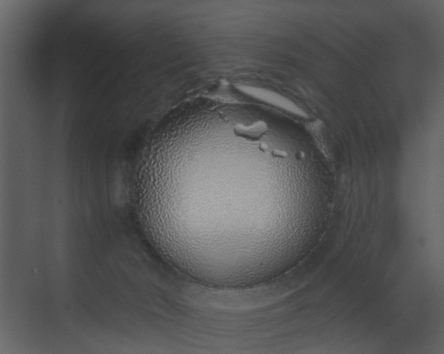 X0000068730030200605121529