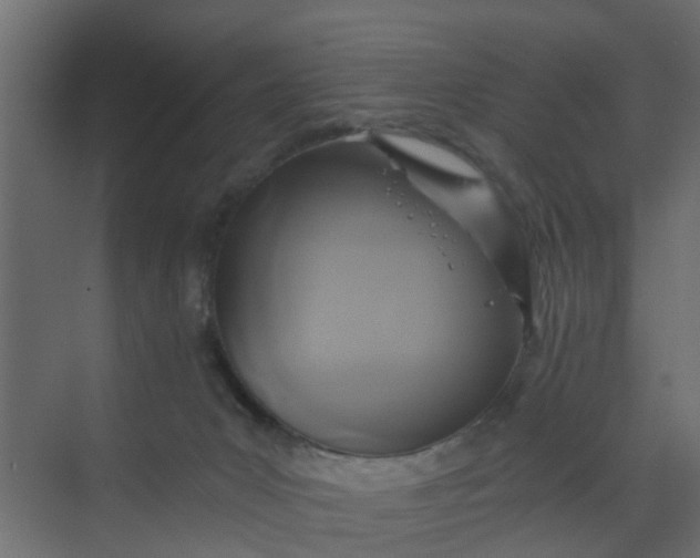 X0000068730031200605121529