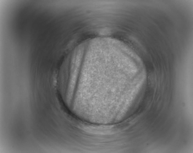 X0000068730032200605121529