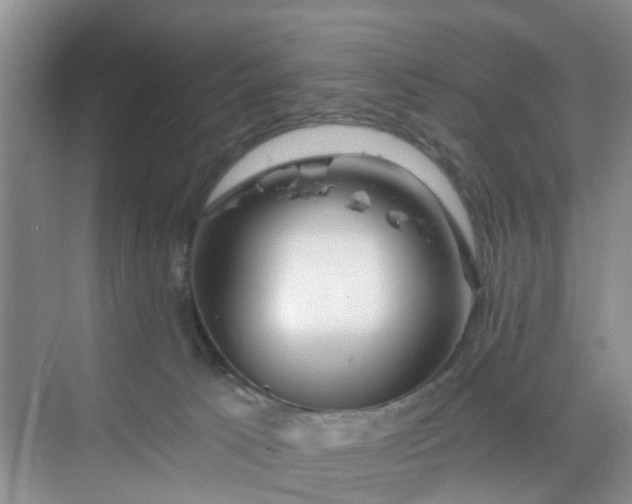 X0000068730033200605121529