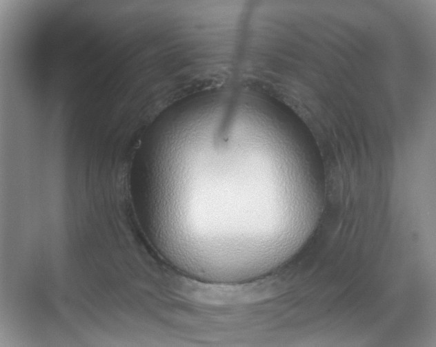 X0000068730034200605121529