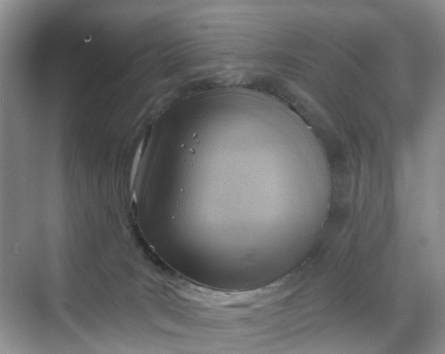 X0000068730035200605121529