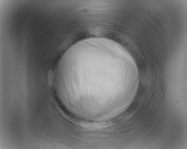 X0000068730036200605121529