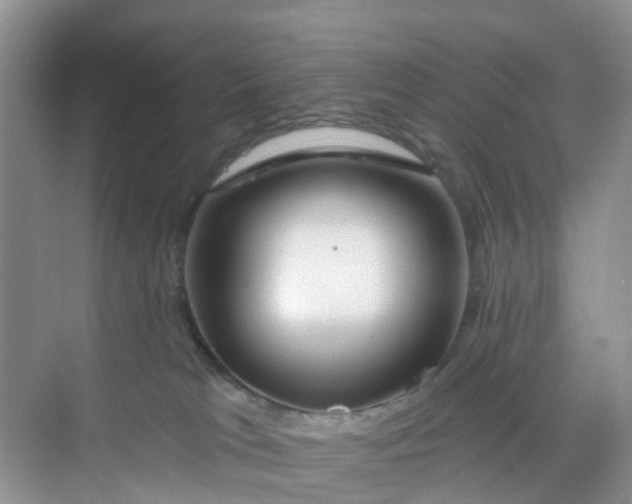 X0000068730037200605121529