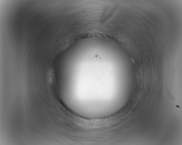 X0000068730038200605121529