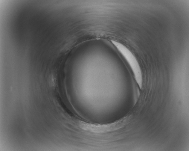 X0000068730039200605121529