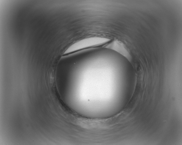 X0000068730040200605121529