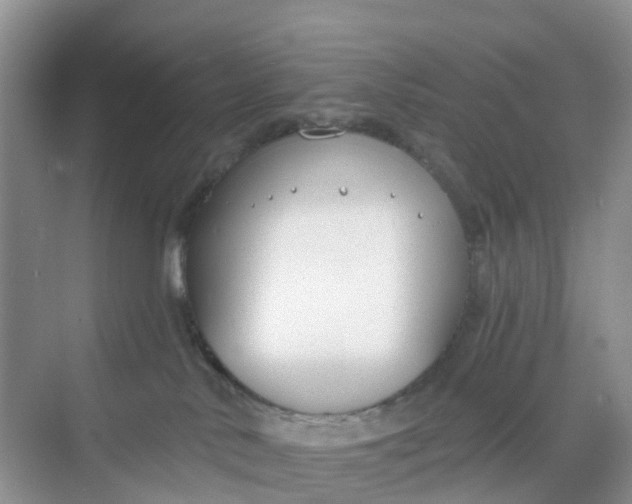 X0000068730042200605121529