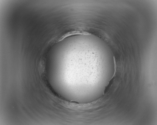 X0000068730043200605121529