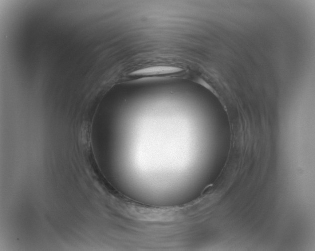 X0000068730044200605121529