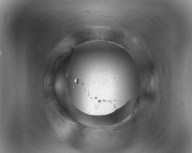 X0000068730045200605121529