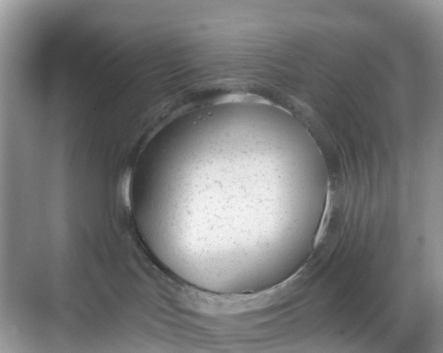 X0000068730047200605121529