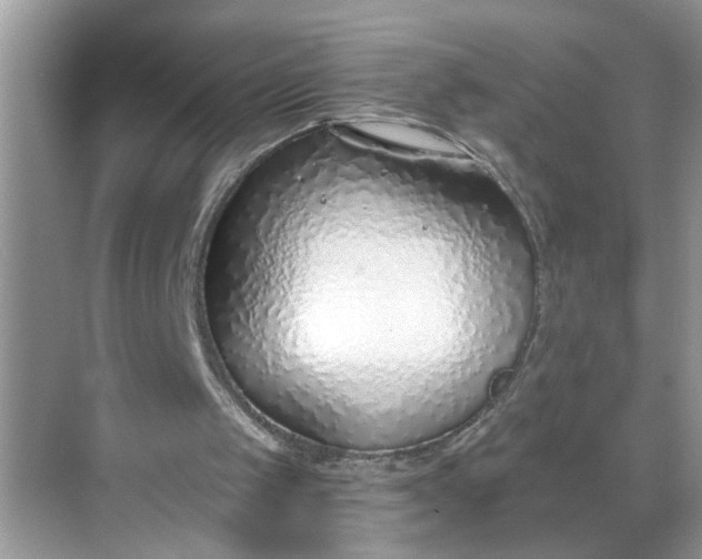 X0000068730049200605121528