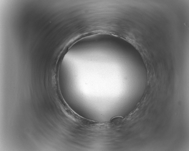 X0000068730050200605121528