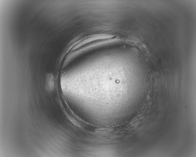 X0000068730051200605121528