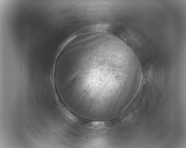 X0000068730052200605121528