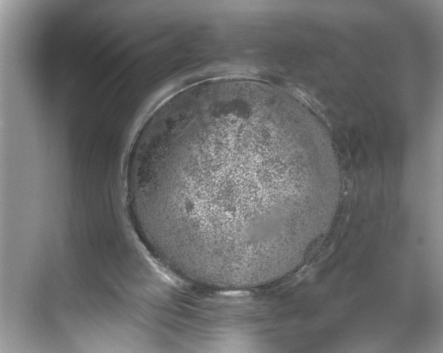 X0000068730053200605121528