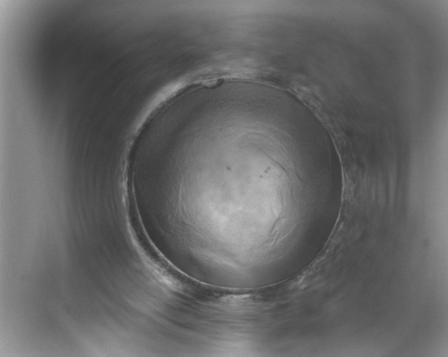 X0000068730054200605121528