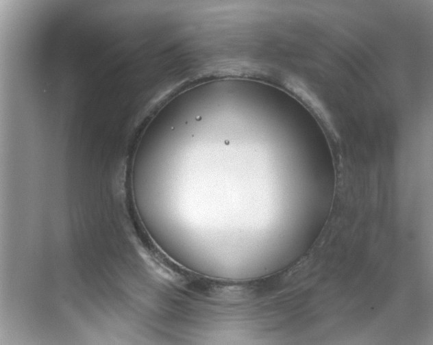 X0000068730058200605121528