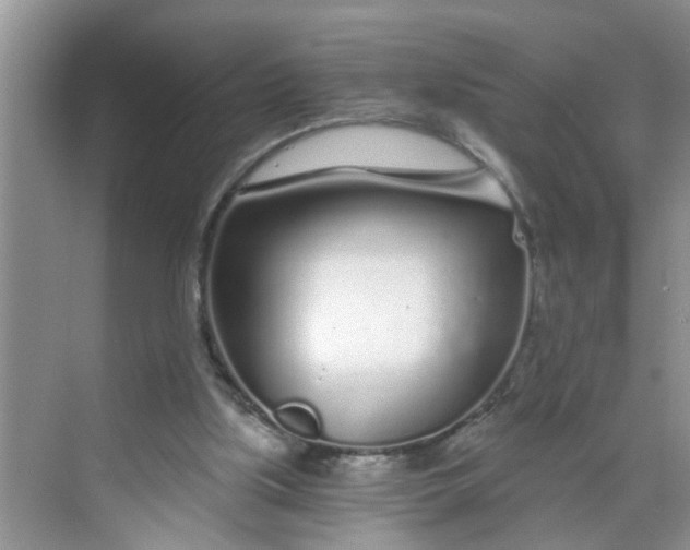 X0000068730059200605121529