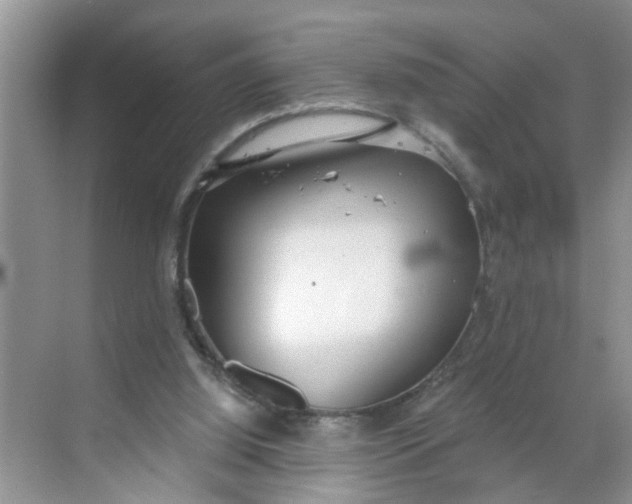 X0000068730060200605121529