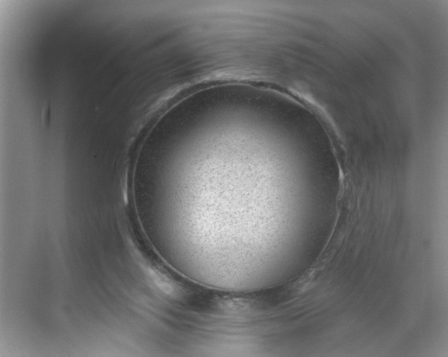 X0000068730062200605121529