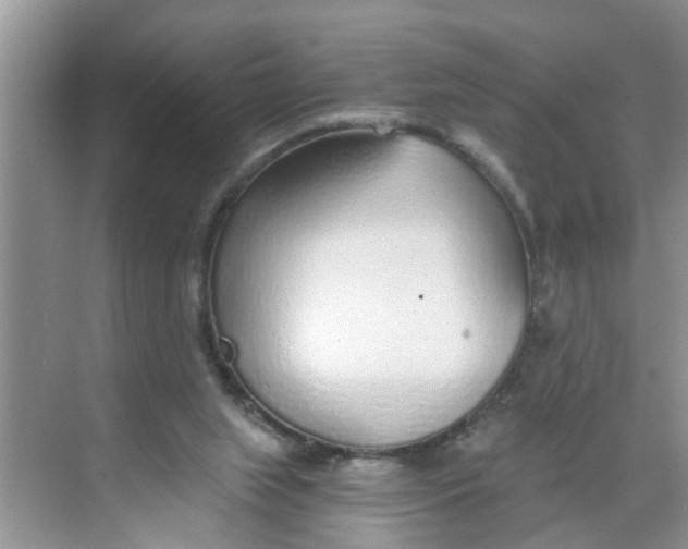 X0000068730063200605121529