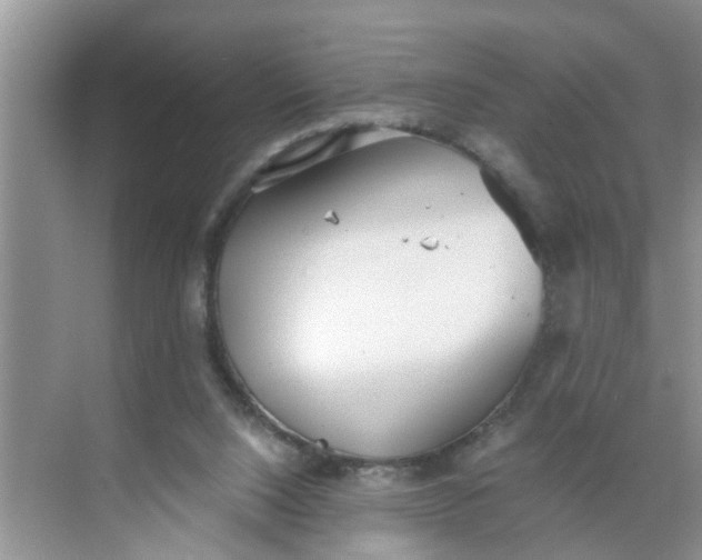 X0000068730064200605121529