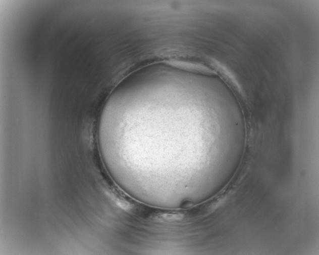 X0000068730065200605121529