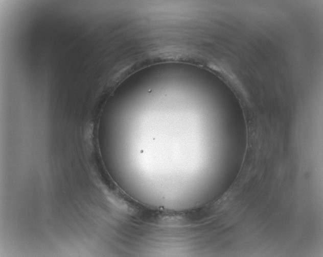 X0000068730066200605121529