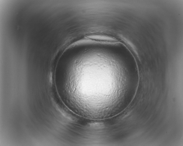 X0000068730067200605121529