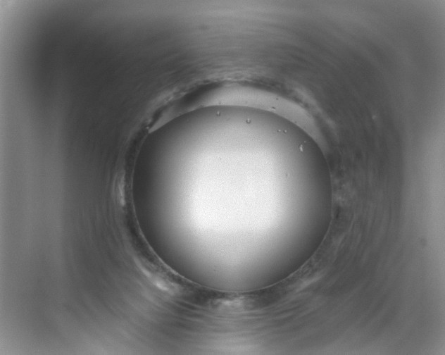 X0000068730068200605121529