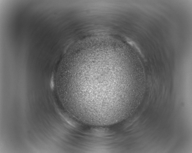 X0000068730069200605121529