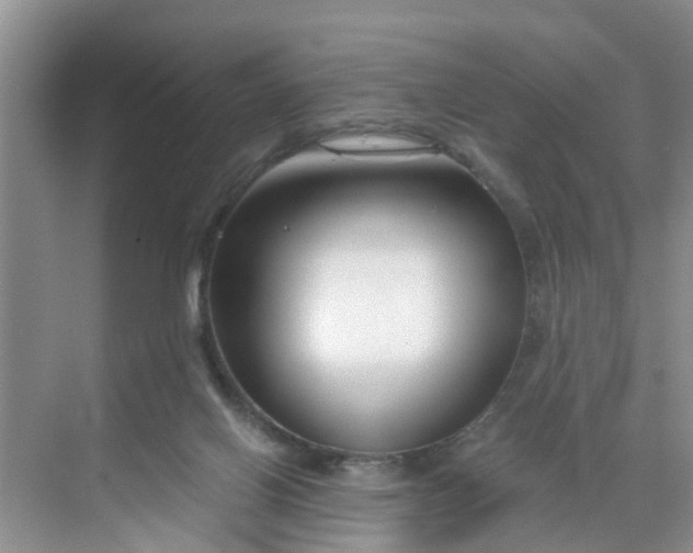 X0000068730070200605121529