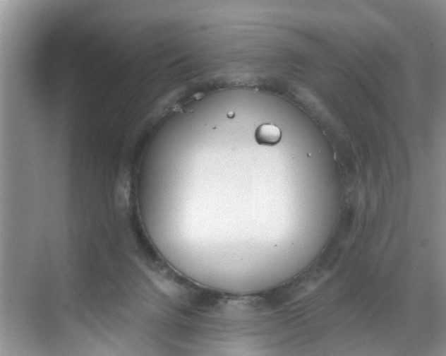 X0000068730072200605121529