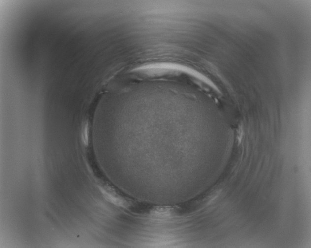 X0000068730076200605121529