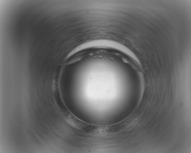 X0000068730080200605121529