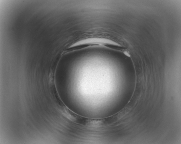 X0000068730081200605121529