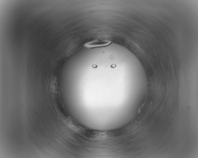 X0000068730083200605121529